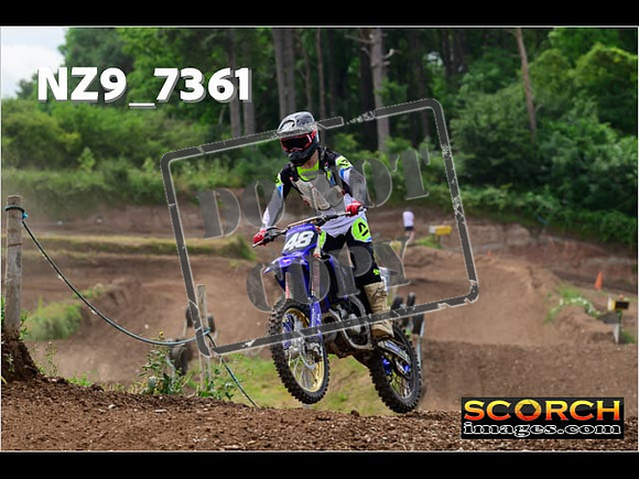 Experts-294