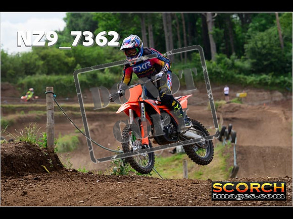 Experts-295