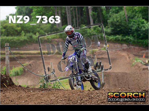 Experts-296
