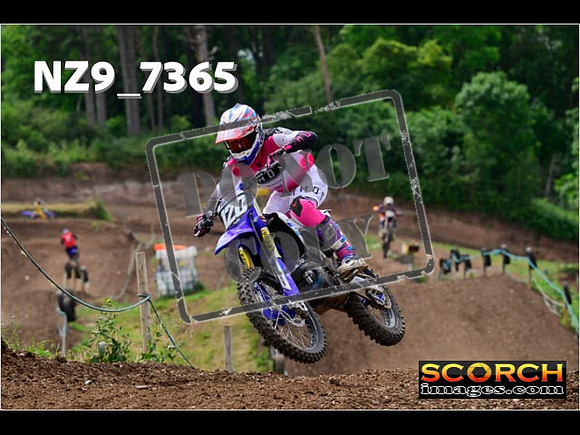 Experts-298