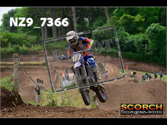 Experts-299
