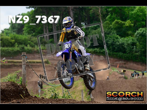 Experts-300