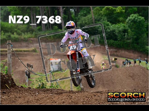 Experts-301