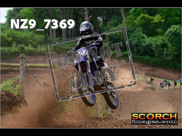 Experts-302