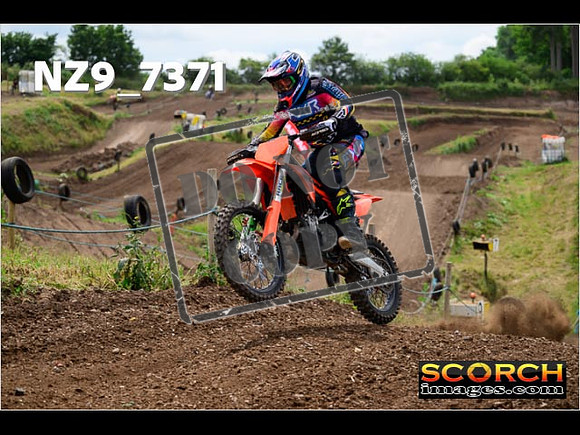 Experts-304