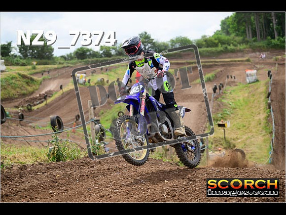 Experts-306