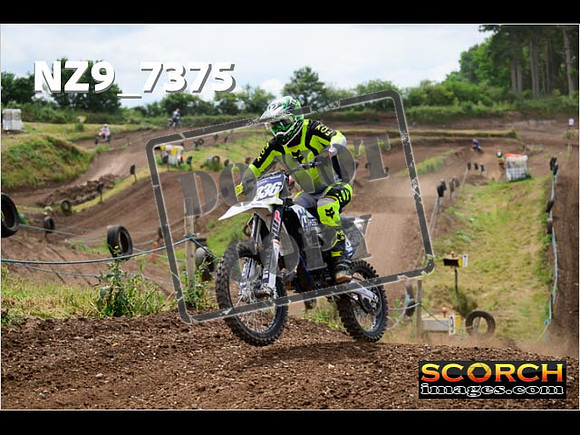 Experts-307