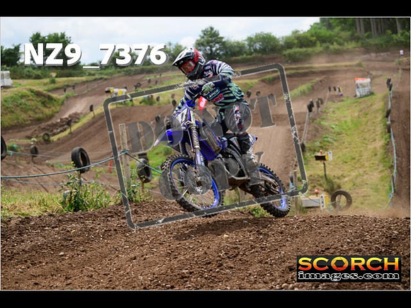 Experts-308