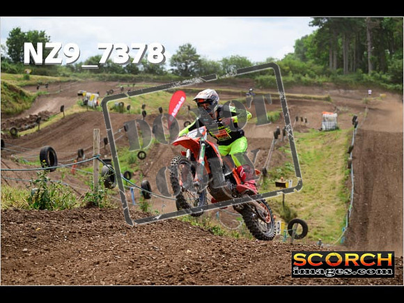 Experts-309