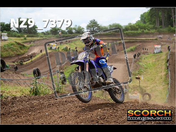 Experts-310