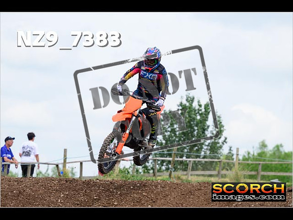 Experts-313