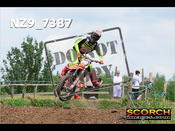 Experts-317