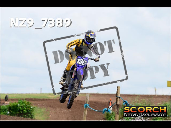 Experts-319