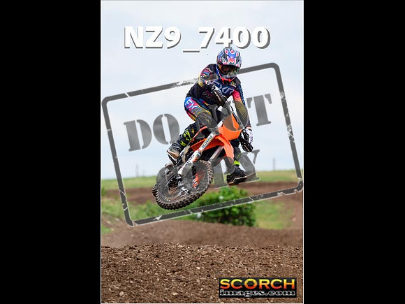 Experts-329