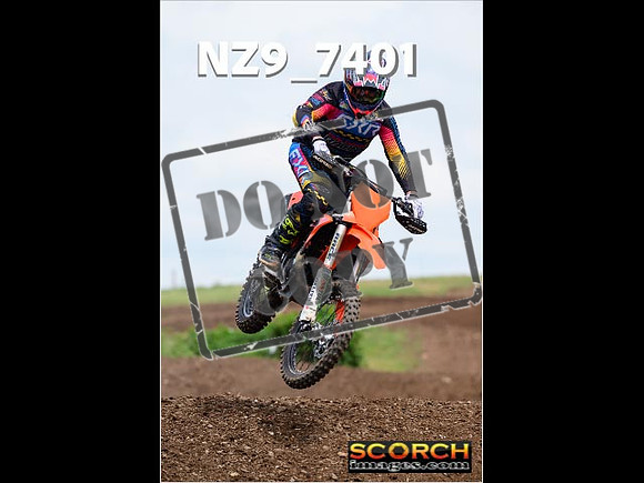 Experts-330
