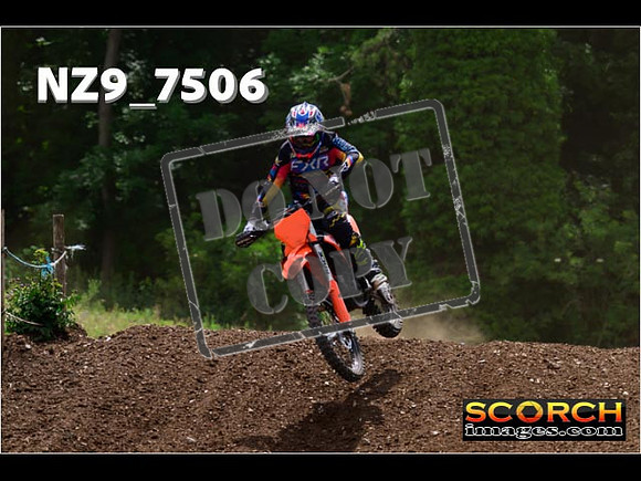 Experts-334