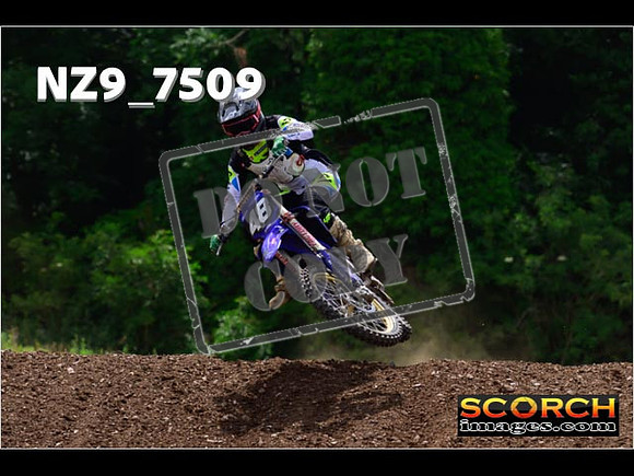 Experts-335