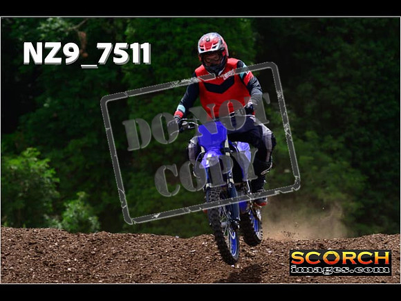 Experts-336