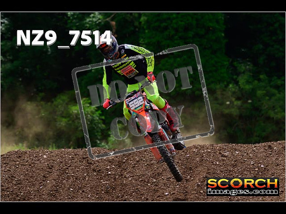 Experts-337