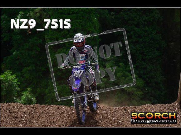 Experts-338