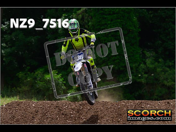 Experts-339