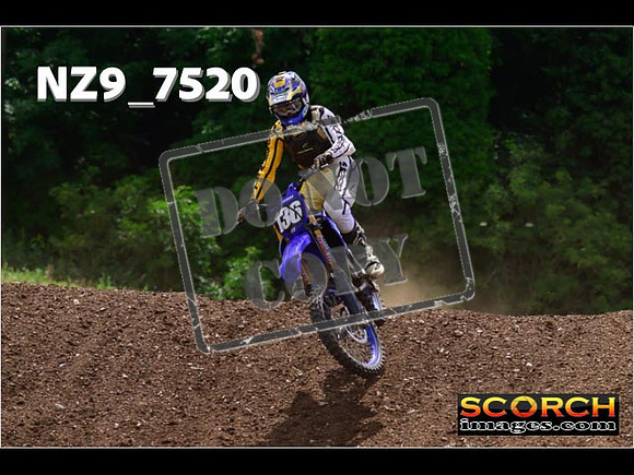 Experts-341