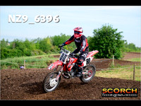 Experts-011