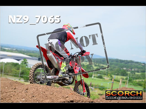 Inters-229