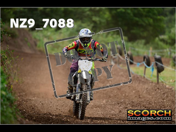 Inters-251