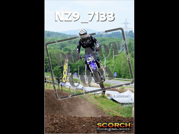 Inters-295