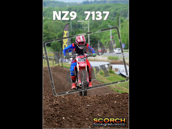Inters-299