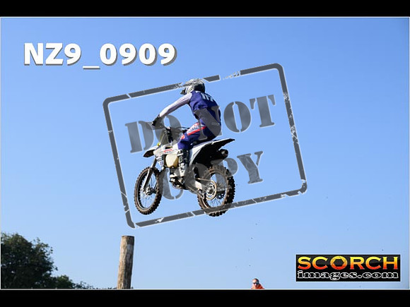 Experts-119