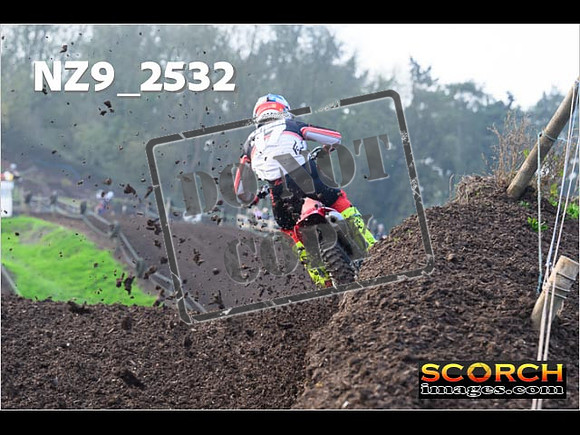 Experts-120