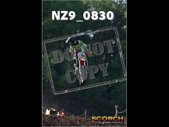 Experts-046