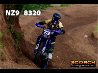 Experts-015