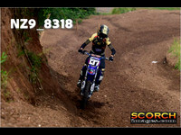 Experts-013