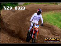Experts-018