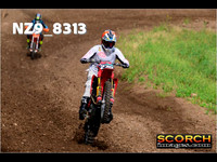 Experts-008