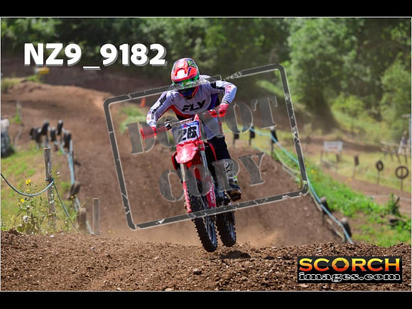 Inters-219