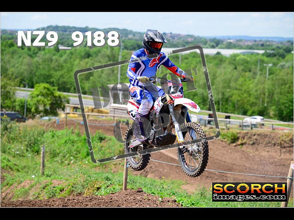 Inters-225