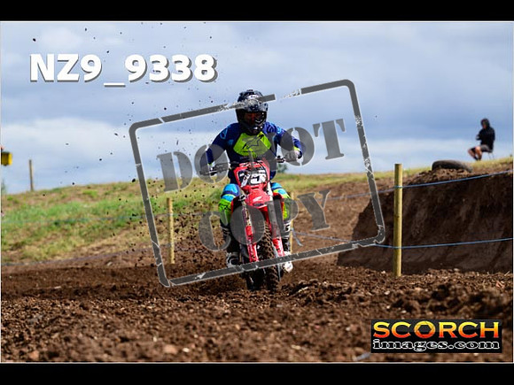 Experts-036