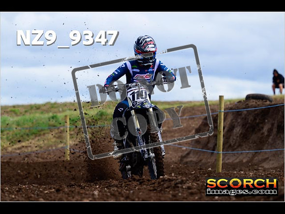Experts-045