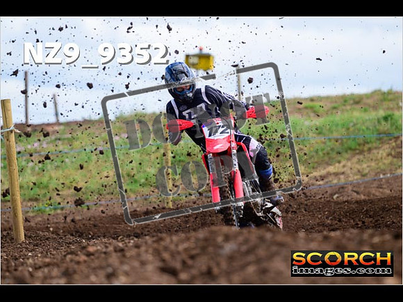 Experts-050