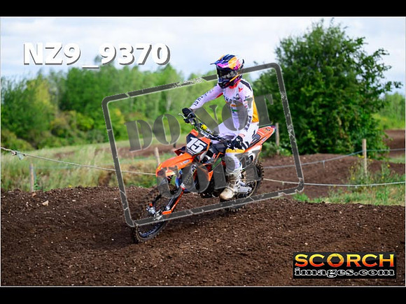 Experts-067