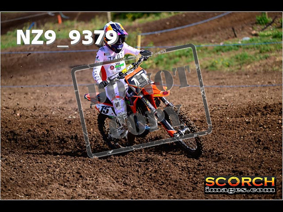 Experts-075