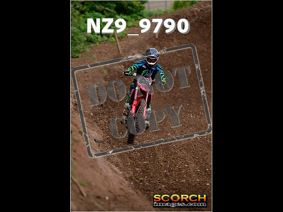 Experts-077