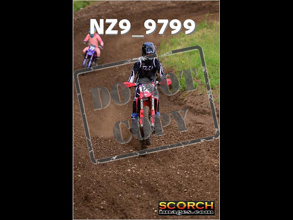 Experts-086