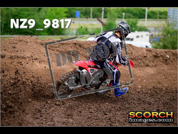 Experts-102