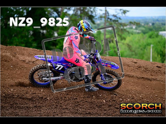 Experts-109