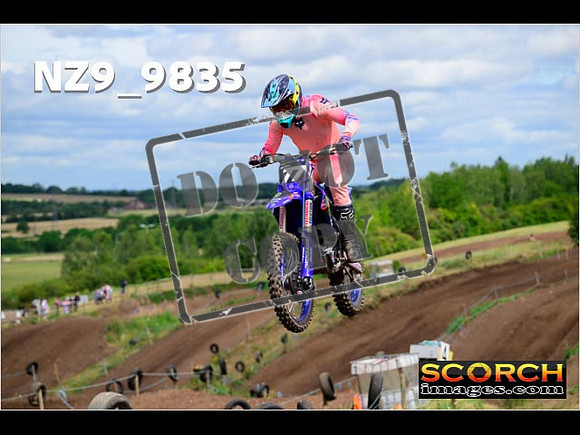 Experts-119